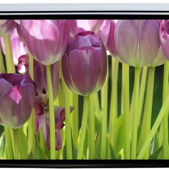 Projector Screen Manual 240 x 240 cm ( 94 by 94 Inches)