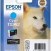 Epson T0962 Cyan Inkjet Cartridge
