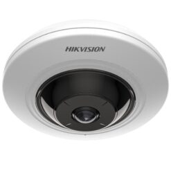 Hikvision DS-2CD2955G0-IS(U) 5MP Fixed Fisheye Camera